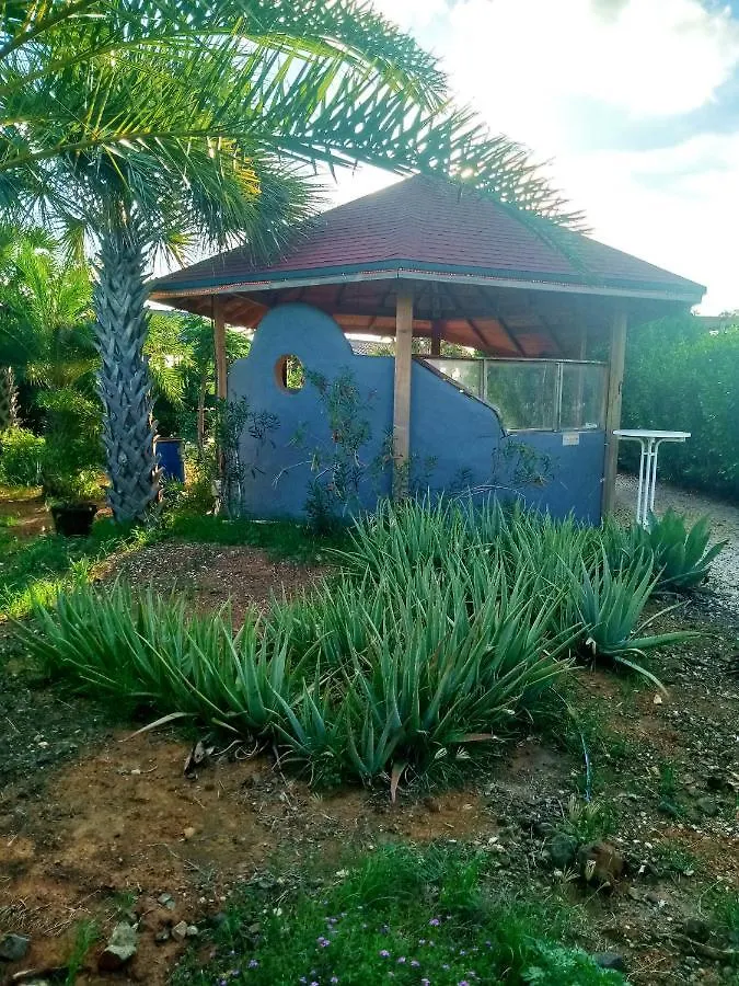 Red Palm Village クラレンダイク