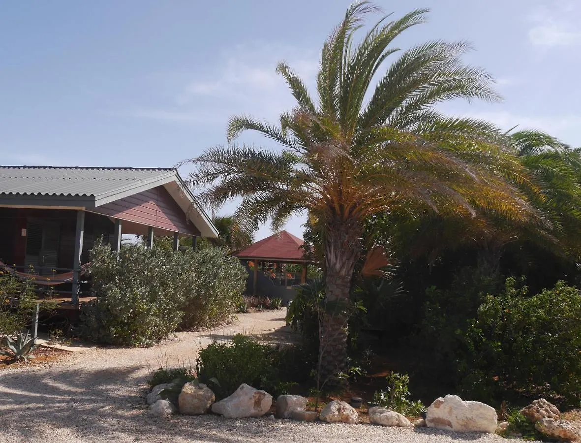 Resort Red Palm Village Playa