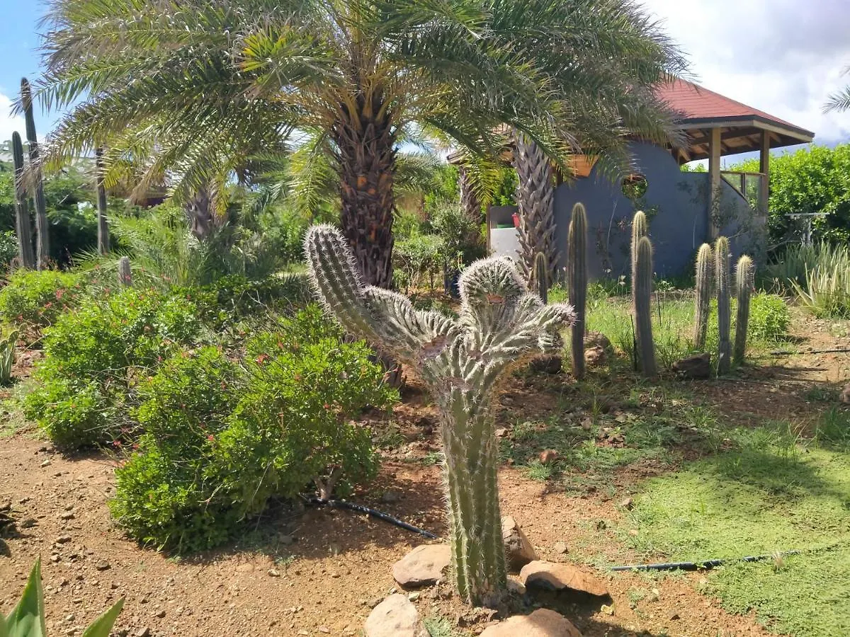 Red Palm Village Playa Resort